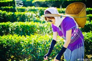 已外运疆煤5170.9万吨！新疆铁道通顺煤炭运输通道